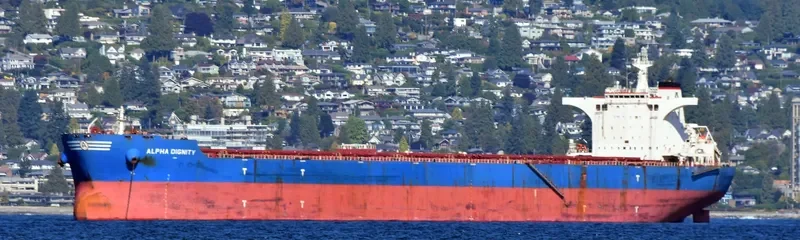 ALPHA DIGNITY Bulk Carrier IMO 9462811