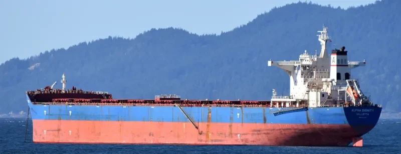 ALPHA DIGNITY Bulk Carrier IMO 9462811 photo 2