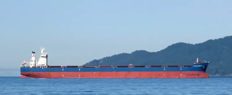 ALPHA DIGNITY Bulk Carrier IMO 9462811 photo 4