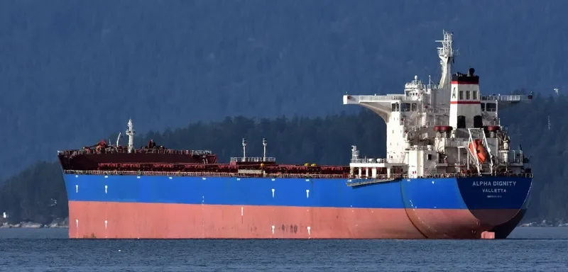 ALPHA DIGNITY Bulk Carrier IMO 9462811 photo 9