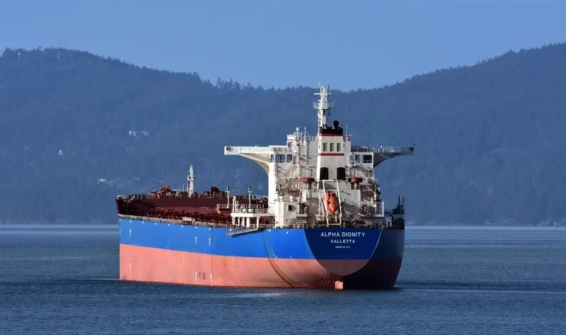 ALPHA DIGNITY Bulk Carrier IMO 9462811 photo 10