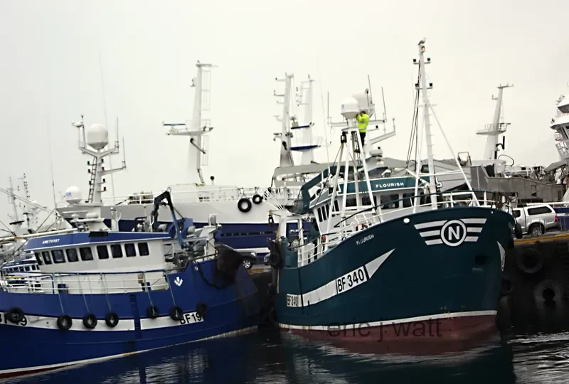 AMETHYST General Cargo IMO 9462847 photo 5