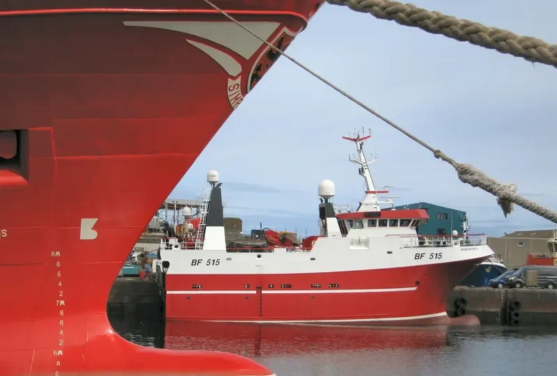 ENDEAVOUR IV General Cargo IMO 9462861 photo 2