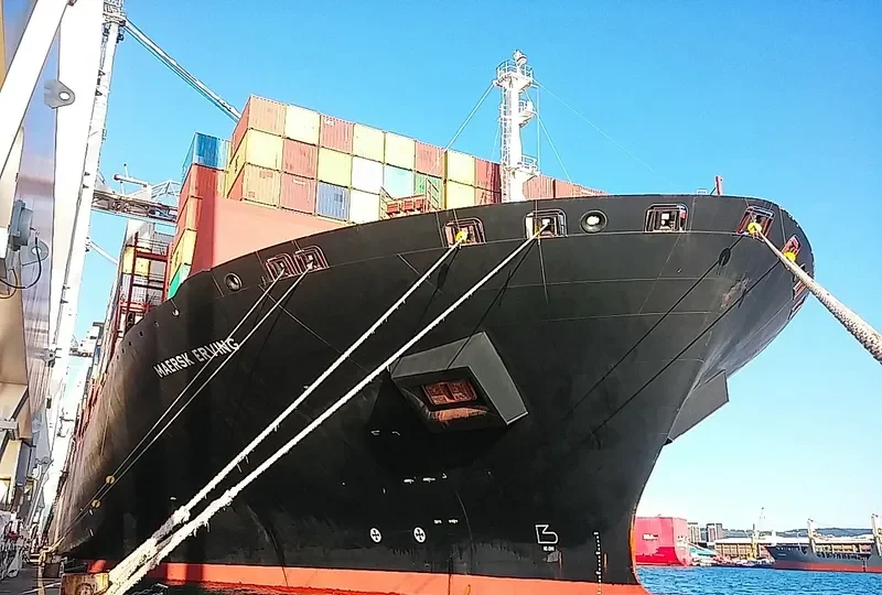 ERVING Container Ship IMO 9463023 photo 2