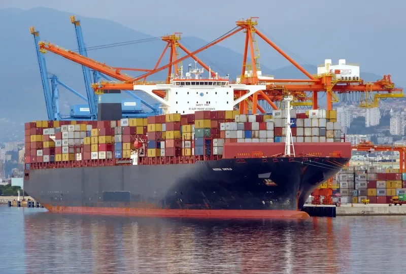 MSC EMMA Container Ship IMO 9463047