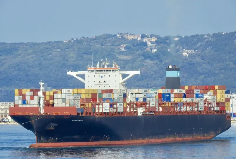 MSC EMMA Container Ship IMO 9463047 photo 2