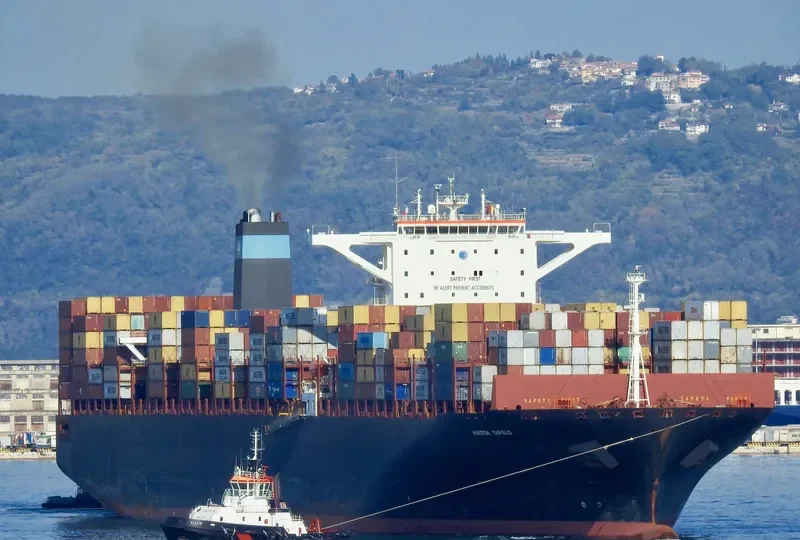 MSC EMMA Container Ship IMO 9463047 photo 3