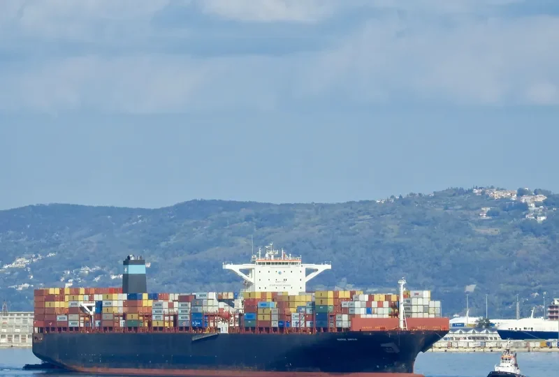 MSC EMMA Container Ship IMO 9463047 photo 4