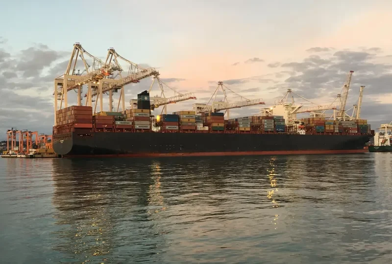 MSC EMMA Container Ship IMO 9463047 photo 5