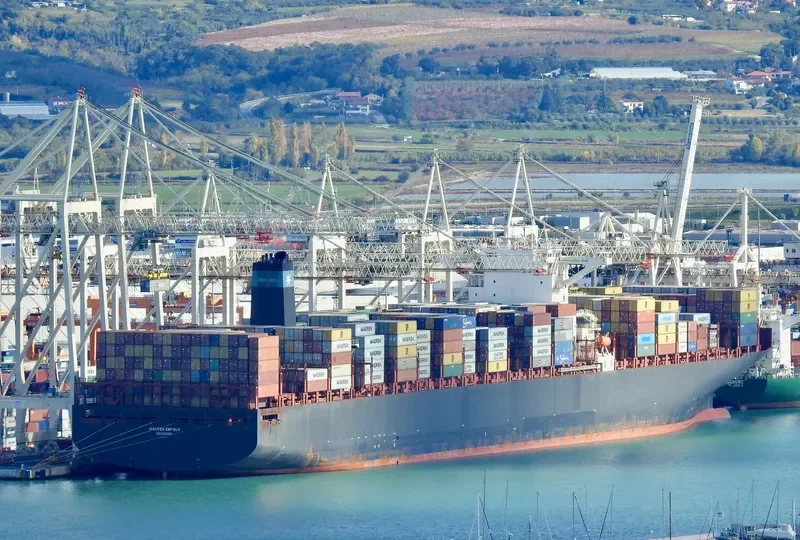 MSC EMMA Container Ship IMO 9463047 photo 6