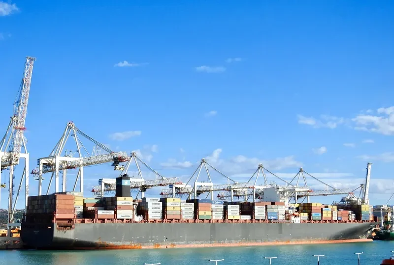 MSC EMMA Container Ship IMO 9463047 photo 7