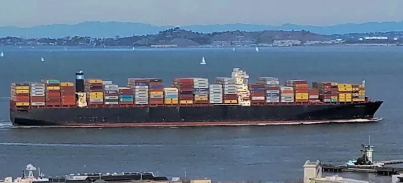 MSC EMMA Container Ship IMO 9463047 photo 10