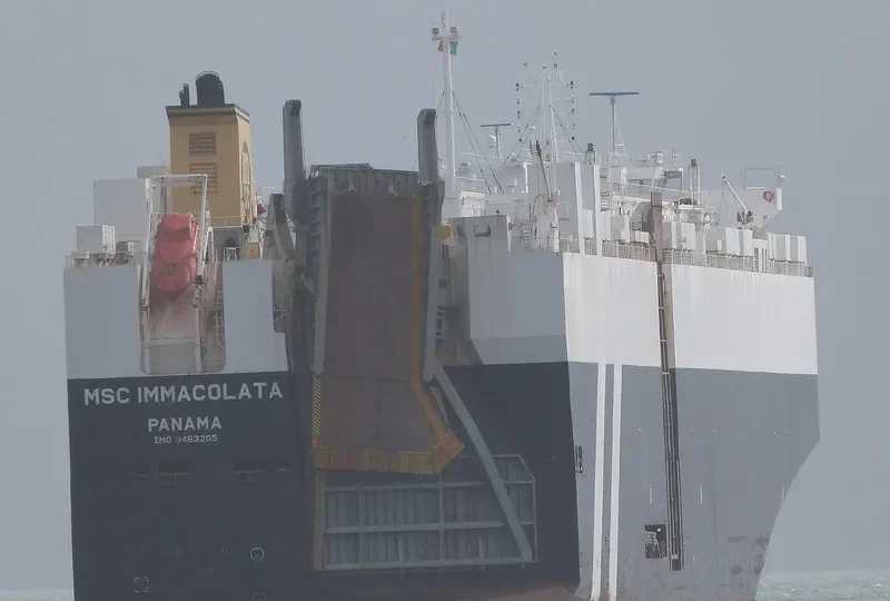 MSC IMMACOLATA General Cargo IMO 9463205