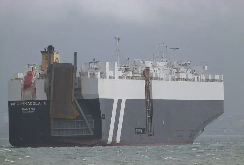 MSC IMMACOLATA General Cargo IMO 9463205 photo 2