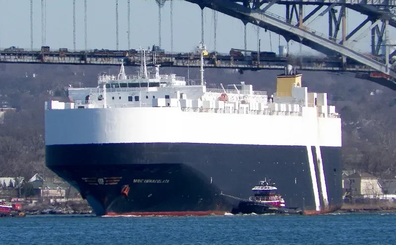 MSC IMMACOLATA General Cargo IMO 9463205 photo 3