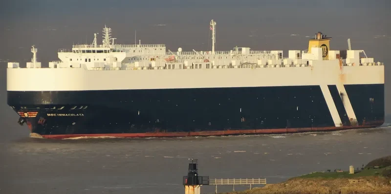 MSC IMMACOLATA General Cargo IMO 9463205 photo 4
