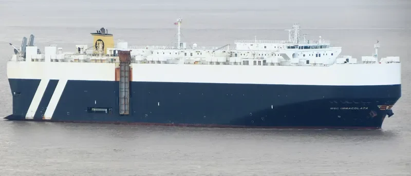 MSC IMMACOLATA General Cargo IMO 9463205 photo 6