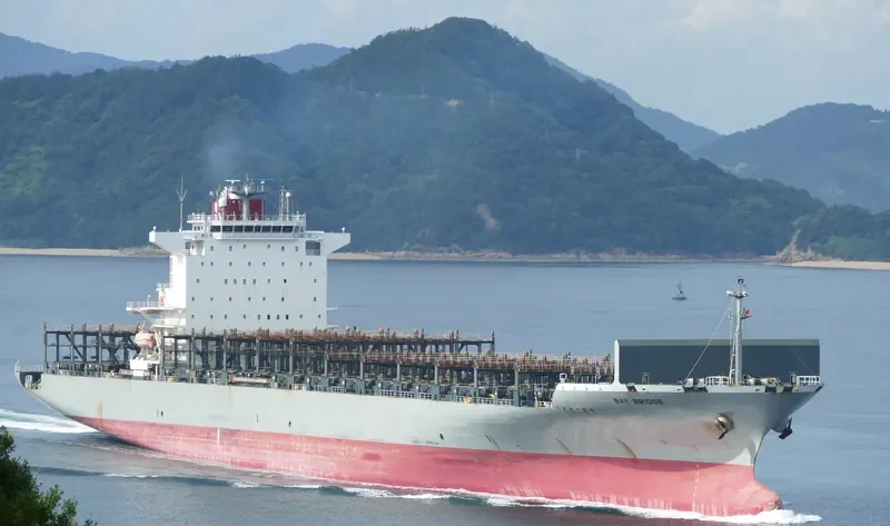 BAY BRIDGE Container Ship IMO 9463267 photo 10