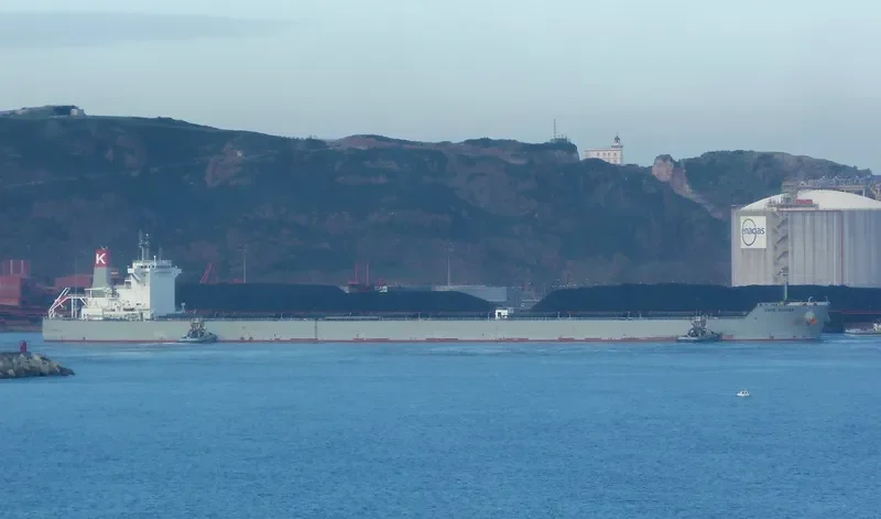 JAG ANAND Bulk Carrier IMO 9463308 photo 6