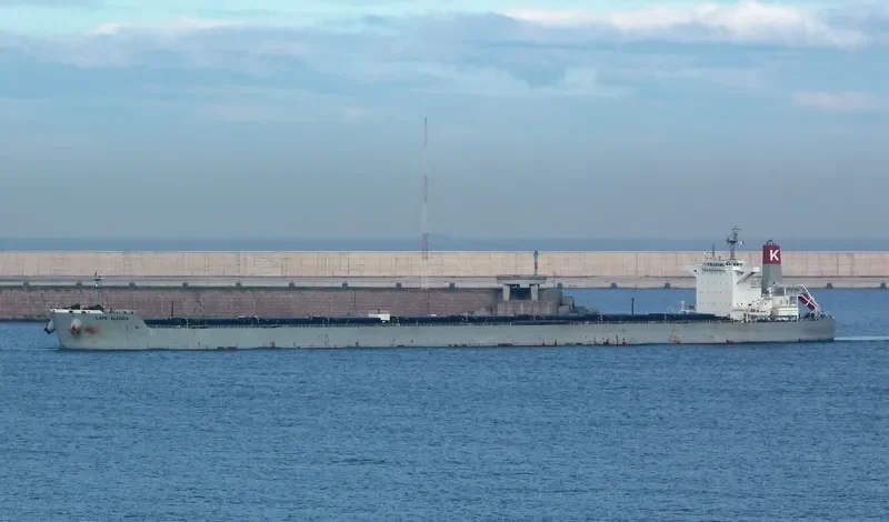 JAG ANAND Bulk Carrier IMO 9463308 photo 9
