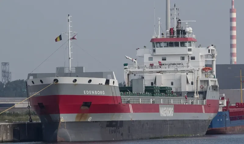 EDENBORG Container Ship IMO 9463449