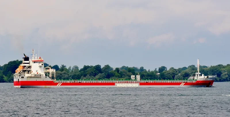 EDENBORG Container Ship IMO 9463449 photo 2