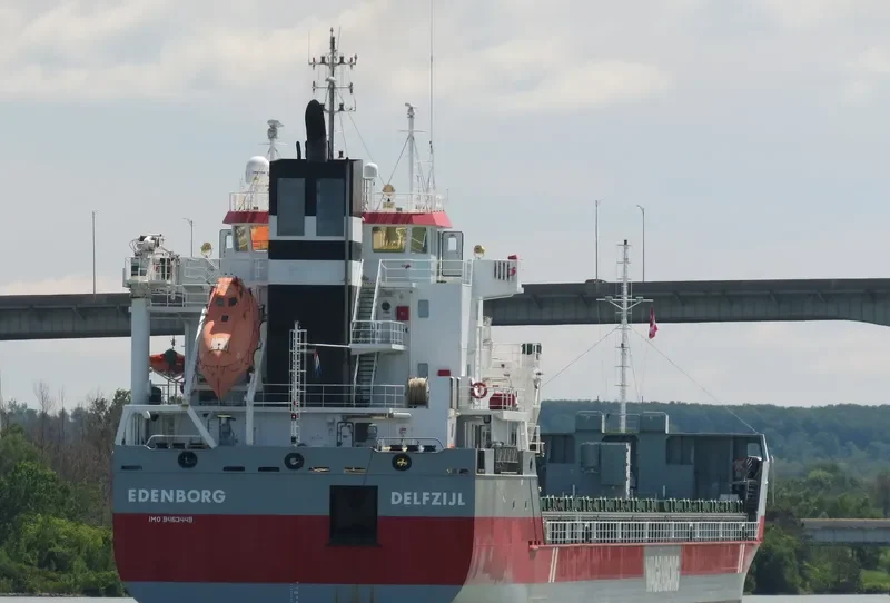 EDENBORG Container Ship IMO 9463449 photo 3