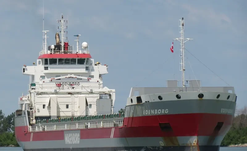 EDENBORG Container Ship IMO 9463449 photo 6