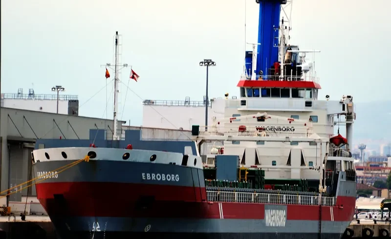 EBROBORG Container Ship IMO 9463451