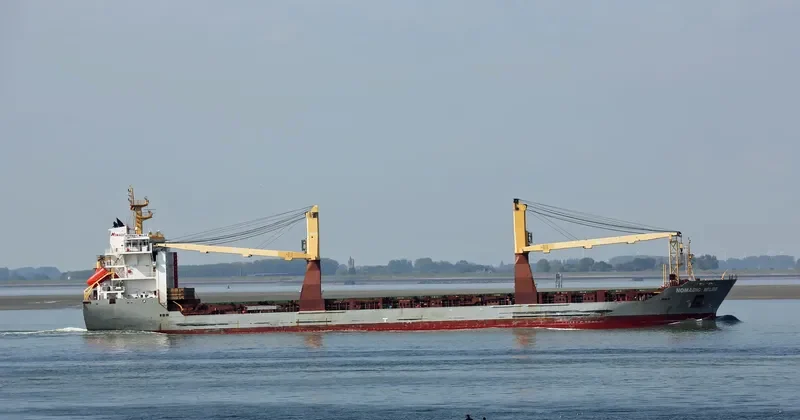 NOMADIC MILDE General Cargo IMO 9463554 photo 6