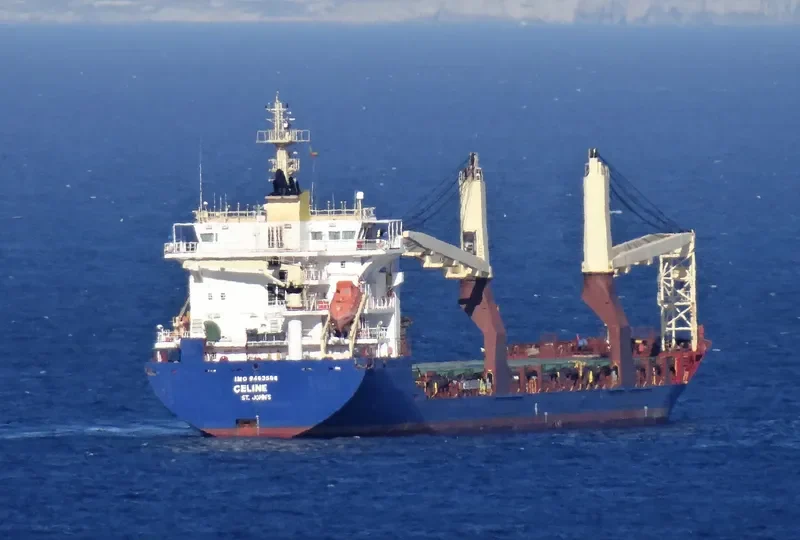 CELINE General Cargo IMO 9463566 photo 5