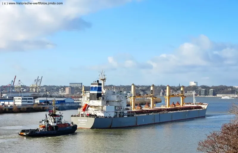 SAN NICOLAS Bulk Carrier IMO 9463580 photo 3