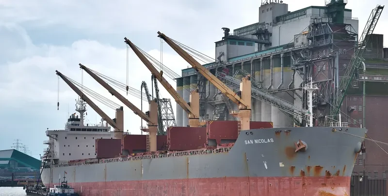 SAN NICOLAS Bulk Carrier IMO 9463580 photo 7