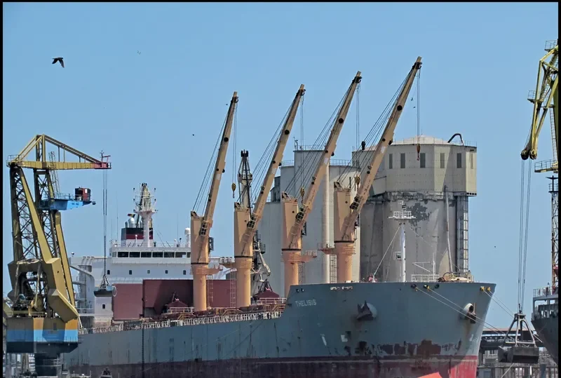 AMFITRITI Bulk Carrier IMO 9463592 photo 5