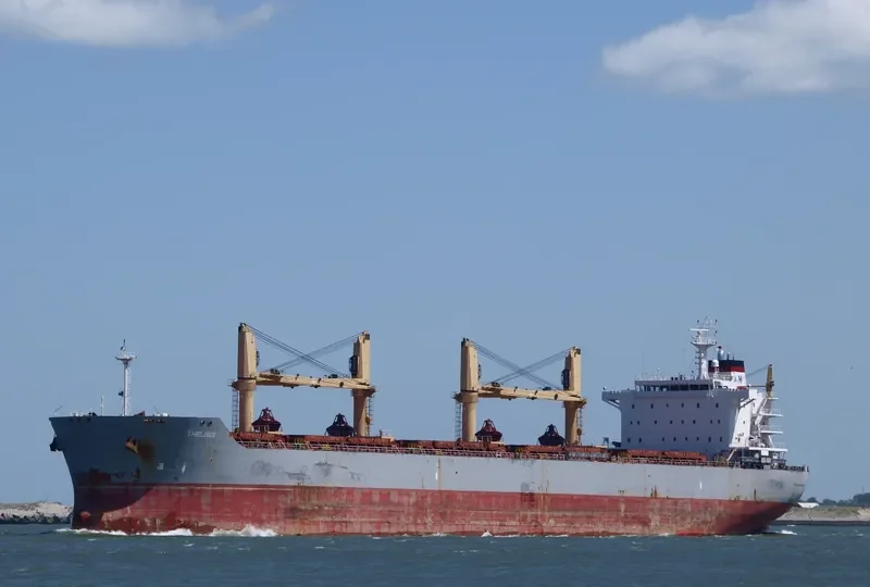 AMFITRITI Bulk Carrier IMO 9463592 photo 7