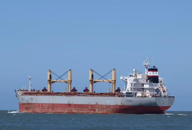 AMFITRITI Bulk Carrier IMO 9463592 photo 8