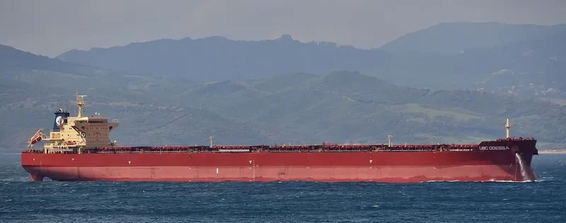 REX OLDENDORFF Bulk Carrier IMO 9463671