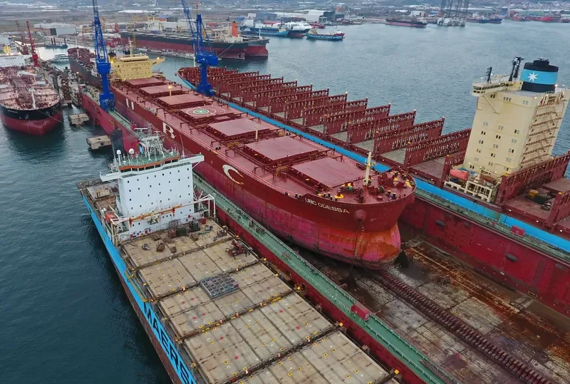 REX OLDENDORFF Bulk Carrier IMO 9463671 photo 6