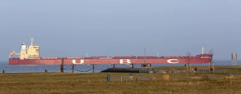 REX OLDENDORFF Bulk Carrier IMO 9463671 photo 8