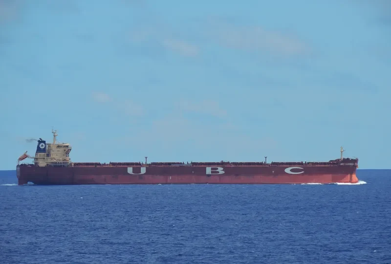 REX OLDENDORFF Bulk Carrier IMO 9463671 photo 9