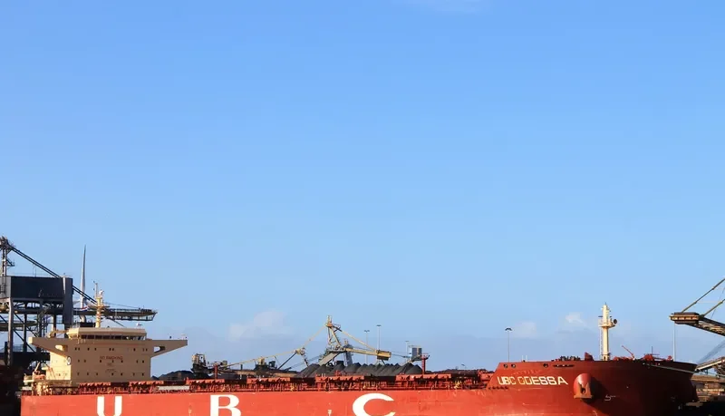 REX OLDENDORFF Bulk Carrier IMO 9463671 photo 10