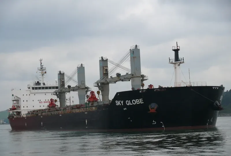 SKY GLOBE Bulk Carrier IMO 9463748 photo 4