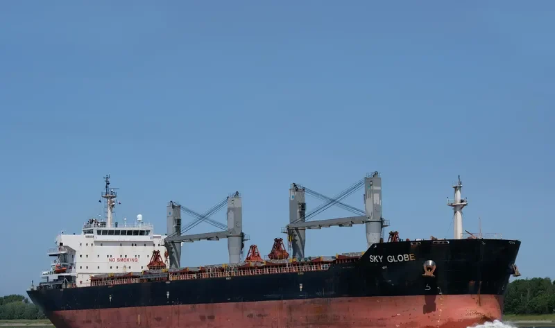 SKY GLOBE Bulk Carrier IMO 9463748 photo 5