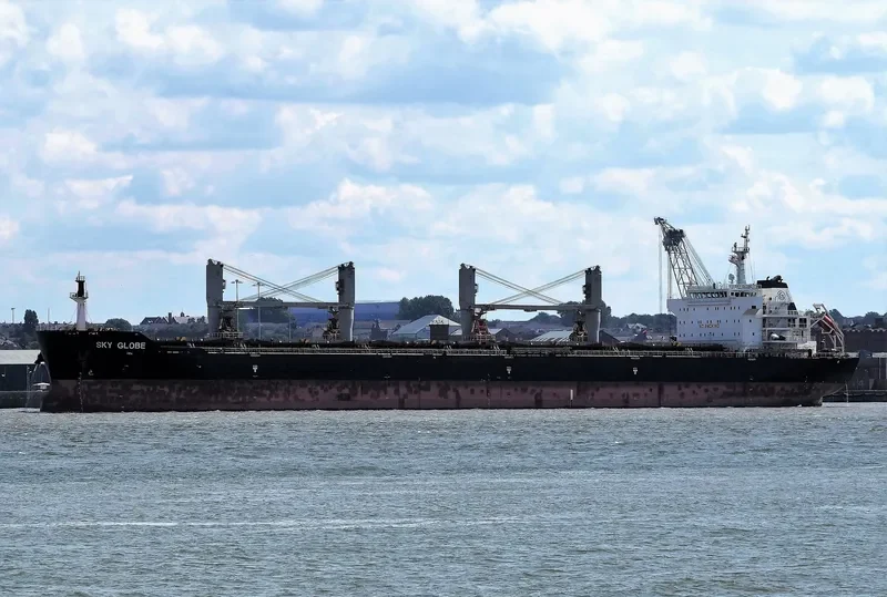 SKY GLOBE Bulk Carrier IMO 9463748 photo 8