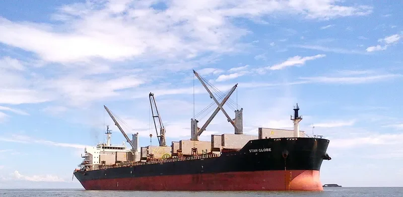 STAR GLOBE Bulk Carrier IMO 9463750