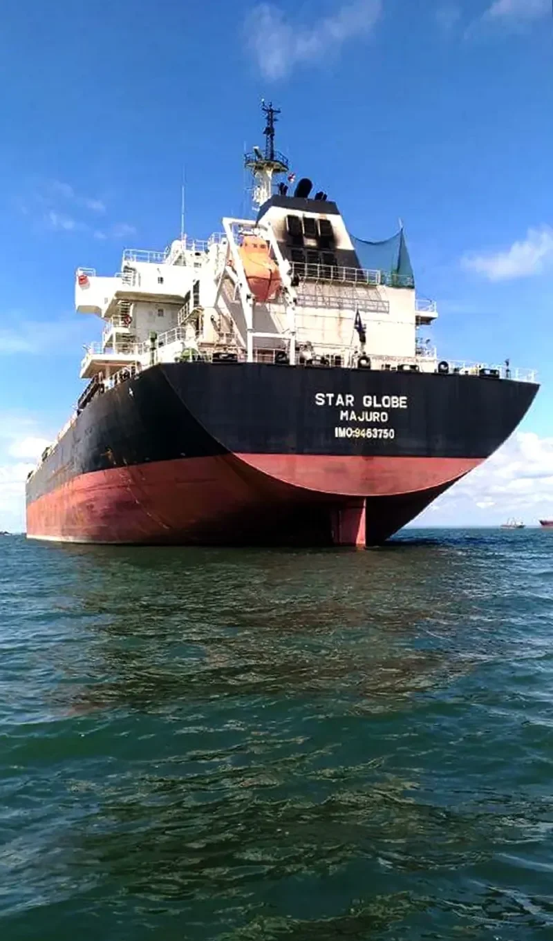 STAR GLOBE Bulk Carrier IMO 9463750 photo 3
