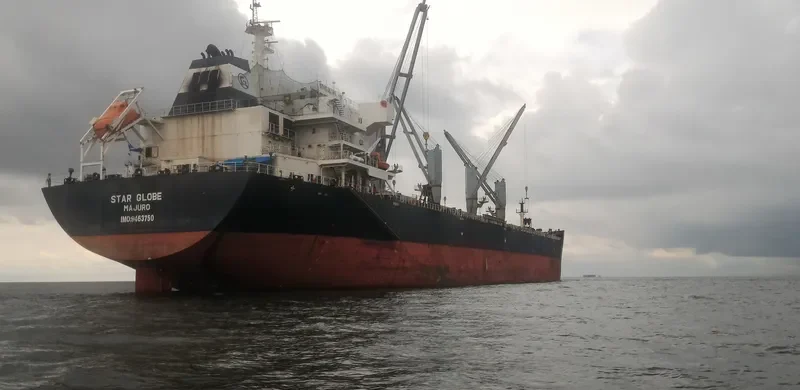 STAR GLOBE Bulk Carrier IMO 9463750 photo 4