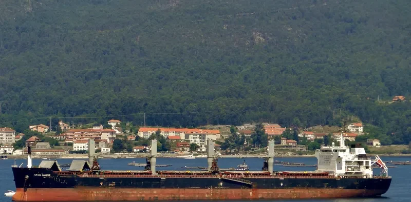 STAR GLOBE Bulk Carrier IMO 9463750 photo 8