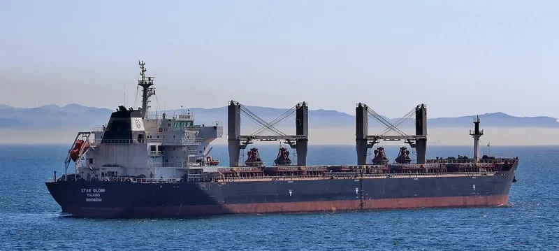 STAR GLOBE Bulk Carrier IMO 9463750 photo 9