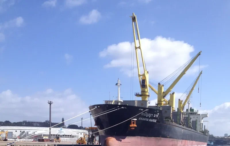 ANANYA NAREE Bulk Carrier IMO 9464003 photo 2
